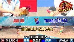 Trận 11 CPC3 15/01/2026