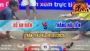 Trận 11 Xà Xía 19/01/2026