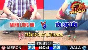 Trận 14 CPC3 15/01/2026