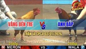 Trận 14 CPC4 03/01/2026