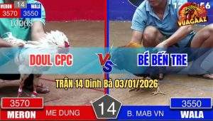 Trận 14 Dinh Bà 03/01/2026
