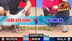 Trận 19 CPC3 15/01/2026