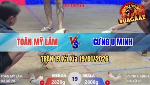 Trận 19 Xà Xía 19/01/2026