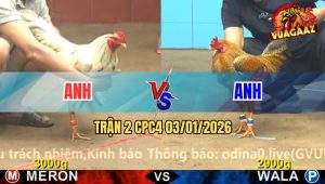 Trận 2 CPC4 03/01/2026