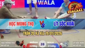 Trận 20 Xà Xía 19/01/2026