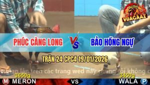 Trận 24 CPC4 19/01/2026