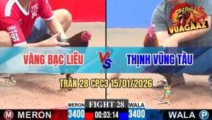 Trận 28 CPC3 15/01/2026
