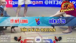 Trận 29 Xà Xía 19/01/2026