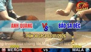 Trận 30 CPC4 03/01/2026