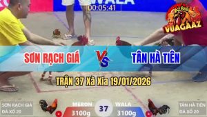 Trận 37 Xà Xía 19/01/2026