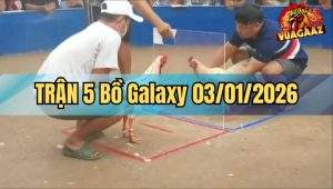 Trận 5 Galaxy 03/01/2026