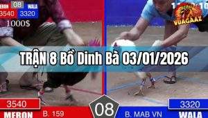 Trận 8 Dinh Bà 03/01/2026