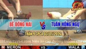Trận 9 CPC4 03/01/2026