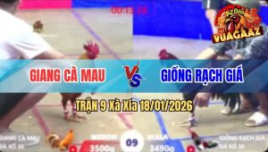 Trận 9 Xà Xía 18/01/2026