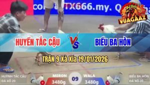 Trận 9 Xà Xía 19/01/2026