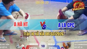 Trận 10 Bồ Xà Xía 8/3/2026 - Khét Đâm Như Chĩa Bướm Trong Tay Nước Đầu Nằm Tại Mức