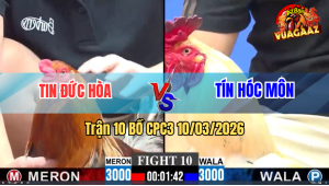 Trận 10 Bồ CPC3 10/3/2026 - Bướm Tốc Độ Đâm Khét Cứng Mình Chạy La Miệng