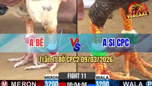 Trận 11 Bồ CPC2 9/3/2026 - Cú Bắt Bướm Không Được Bị Đá Cho Hư Hình