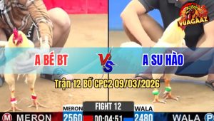 Trận 12 Bồ CPC2 9/3/2026 - Xanh Điềm Tĩnh Đá Mấy Chân Đâm Đỏ Té Hết Sửa