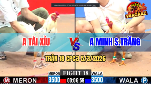 Trận 18 Bồ CPC3 5/3/2026 - Vô Kiếng 2 Con Hòa Quá Hợp Lí