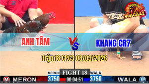 Trận 18 CPC3 8/3/2026 - Điều Bông Đá Úa Muốn Bnah Xong Bỏ Chạy Bất Ngờ