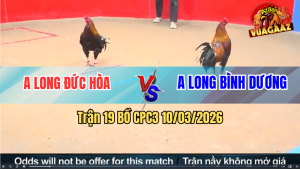Trận 19 Bồ CPC3 10/3/2026 - Đỏ Chưa Thả Đá Ăn 4 Buông Ra Xanh Đá Mấy Chân Ói