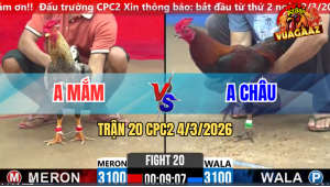 Trận 20 Bồ CPC2 4/3/2026 - Cú Kêu Điều Ngã Nhanh Gọn Không Có Đường Phản