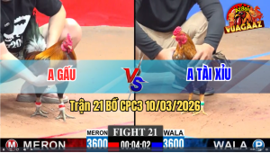 Trận 21 Bồ CPC3 10/3/2026 - Điều Đá Cú Còn Ăn 2 Cú Đá Chân Phản Điều Chạy