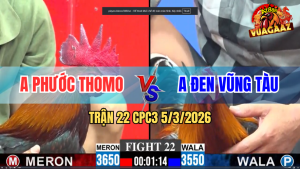 Trận 22 Bồ CPC3 5/3/2026 - Điều Mồng Lá Đá 3 Chân Lụm Điều Mồng Trích