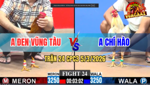 Trận 24 Bồ CPC3 5/3/2026 - Điều Đá Lọt Cây Bướm Chết Tại Chỗ