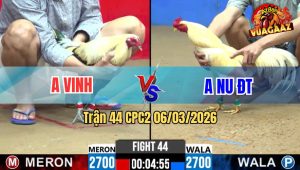 Trận 44 Bồ CPC2 6/4/2026 - Úa Đá Chuối Mỹ Nằm 1 Đống Khồng Có Đường Ra