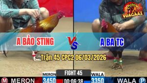 Trận 45 Bồ CPC2 6/3/2026 - Kiểm Cà Mau Song Kiếm Hợp Bích Với Bảo Sting Về Bờ Nhẹ Nhàng