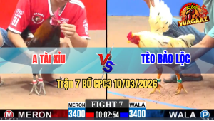 Trận 7 Bồ CPC3 10/3/2026 - Bướm Bươi Chà Đâm Que Xỉu Tuyệt Đối