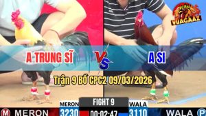 Trận 9 Bồ CPC2 9/3/2026 - 2 Con Quá Trâu Gồng Phút 90 Bỏ Mặt Hòa