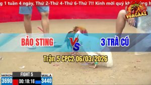 Trận 5 CPC2 06/03/2026