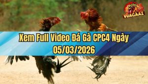 Xem Full Video Đá Gà CPC4 Ngày 05/03/2026